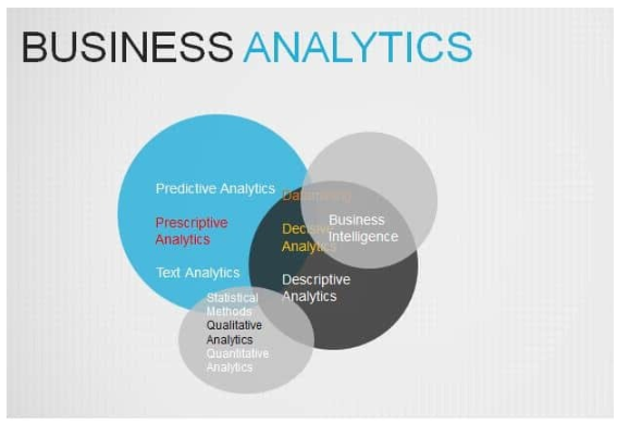 Key Components of Business Analytics SOP